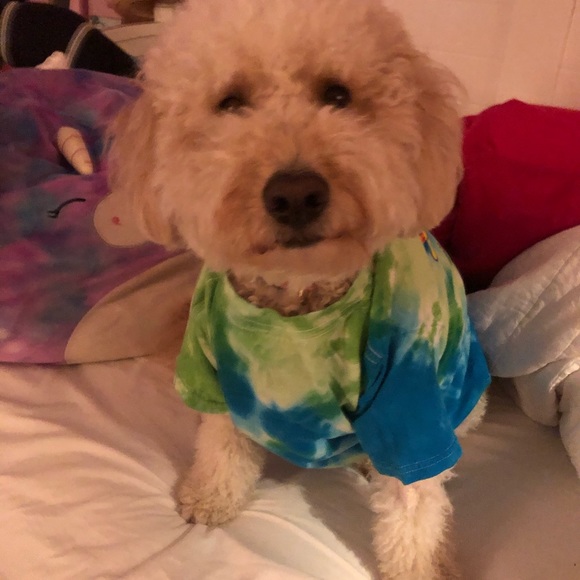 Meet your Posher, Irene - Picture 4 of 5